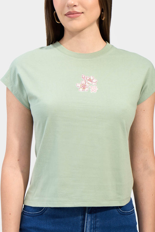 988278-Sage Green (5).jpg