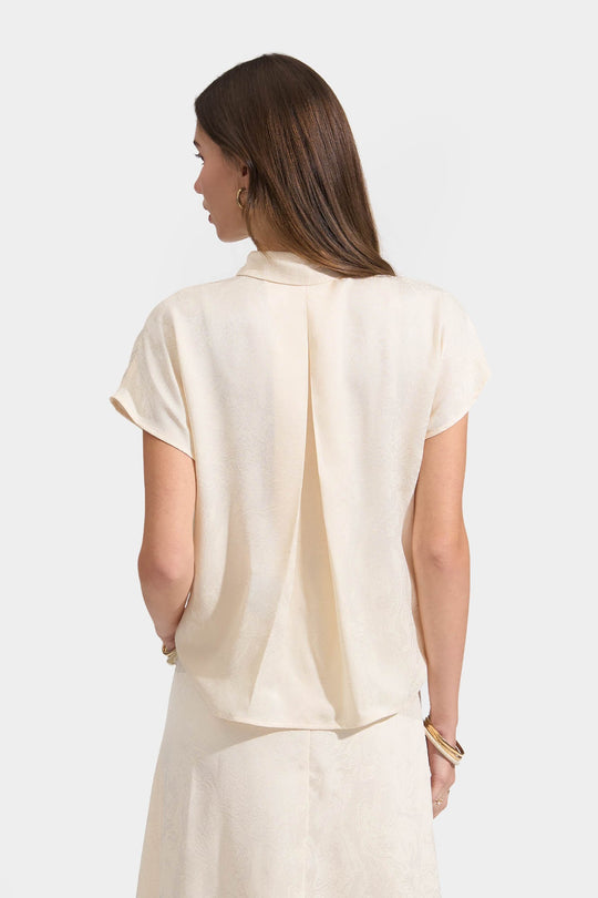 998623-Cream (1).jpg